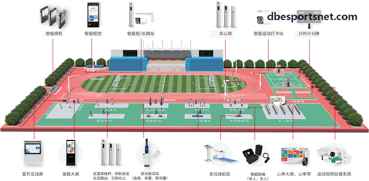 DB真人实战护航